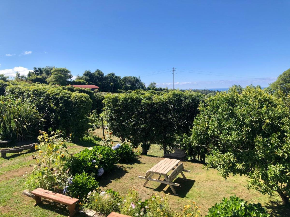 Quinta Dos Sabores Farm Houses Ribeira Grande Dış mekan fotoğraf