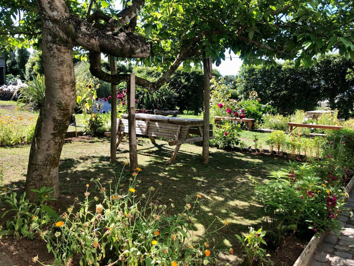 Quinta Dos Sabores Farm Houses Ribeira Grande Dış mekan fotoğraf